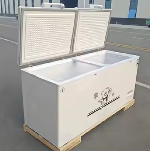 Equipo de Refrigeración Comercial con Inversor, Refrigerador Horizontal y Congelador, Congelador Vertical Profundo - Product Image 5