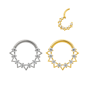 ASTM F136 gioielli in titanio di grado impianto oro lucidato a segmento cavo anello anello naso <span class=keywords><strong>Rinh</strong></span> orecchino Piercing per il corpo gioielli - Product Image 6