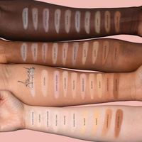 Poudre Libre Minérale Couvrante de Marque Renommée, Waterproof, Anti-Cernes, Contrôle du Sébum, Fini Mat Translucide, Maquillage Compact pour le Visage