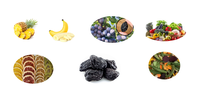 Professionele Warmtepomp Zonne-Energie Voedsel En Groente Drogen Dehydrator M Mango Machine Fruit Droog