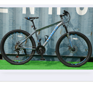 Phillips Mountain Bike: Best Models for 2025