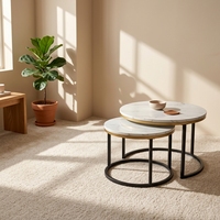 Ensemble de tables basses gigognes modernes en bois durable, 2 tables de salon de luxe, garantie 3 ans, direct usine
