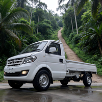 Pick-up électrique Ruichi EC31 RHD, capacité de charge de 1,3T, garantie de 8 ans, fourgonnette électrique pour les entreprises