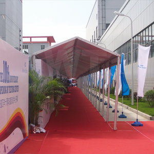 3x3m piccolo negozio tenda ingresso tenda a piedi modo chiaro Span Mini a forma di tenda tendoni per <span class=keywords><strong>la</strong></span> festa di nozze di evento di ingresso - Product Image 6