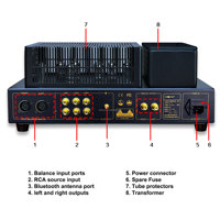 Penguat Suara Rumah Moan Chill HTM-10 Pure Rear Music Receiver dengan Tabung Vakum ECC82/ECC83 untuk Penggunaan Panggung Metal