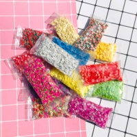 Nouvelles tranches de fruits en pâte polymère de 5 mm, 10 g/sac, plusieurs types, pour slime, artisanat, accessoires DIY