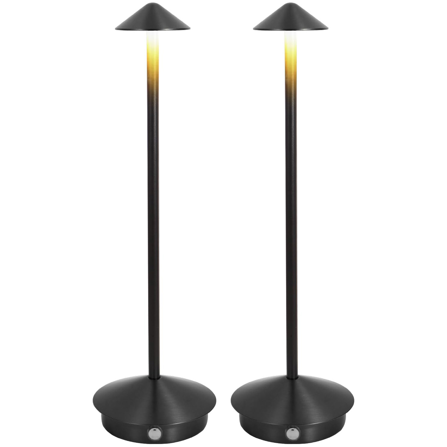 สีดำ/สีทอง