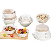 Wegwerp bioafbreekbare verdikte magnetronbestendige GN-350W lunchboxen, kommen, hamburger- en fruitborden, saladeschalen (50 stuks)