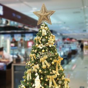 Décoration de sapin de Noël en forme d'étoile 3D en métal, étoile creuse à paillettes pour Noël - Product Image 2