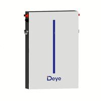 Batterie au lithium Deye murale 5 kW 51,2 V 120 Ah 6,1 kWh ESS pour stockage solaire