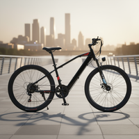 Bicicleta de Carretera WindChaser de Carbono con Batería de Litio de 10AH, Motor Central de 350W, Frenos de Disco de 7 Velocidades, Cuadro de Aleación de Aluminio