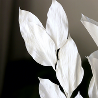 Heim- und Bürodekoration Langlebiges Lilien-Bambus-Blumenarrangement Füllmaterial Tischdekoration Valentinstag Blattwerk Glyzerin-Konserviertes Ruscus
