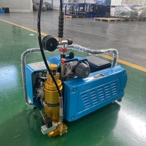 Apagado automático 300bar Motor Compresor <span class=keywords><strong>de</strong></span> aire portátil alimentado por CA Cilindro <span class=keywords><strong>de</strong></span> respiración <span class=keywords><strong>de</strong></span> <span class=keywords><strong>buceo</strong></span> Snorkeling <span class=keywords><strong>Coral</strong></span> Reef Adventure - Product Image 3