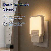Veilleuse LED à capteur crépusculaire avec prise américaine, 30LM, blanc chaud 2600-2800K, allumage/extinction automatique, lampe murale pour chambre, couloir, salle de bain