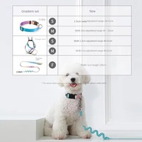 Ensemble de colliers pour animaux de compagnie en alliage et polyester de luxe personnalisés Laisse pour chien antidéflagrante avec motif d'impression de luxe Harns personnalisés