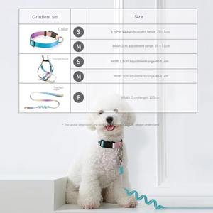 Set di collare per animali domestici in lega di lusso personalizzato e poliestere guinzaglio per cani a prova di esplosione con motivi di stampa di lusso - Product Image 4