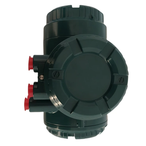 Débitmètre Yokogawa AXG4A en acier inoxydable, télécommande, OEM personnalisable - Product Image 4