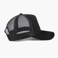 Gorra de Béisbol de Alta Gama, 100% Poliéster, 5 Paneles, Unisex, Retro, Bordado 3D, Impresión de Goma, Transpirable, Impermeable, Ajustable, Metálica
