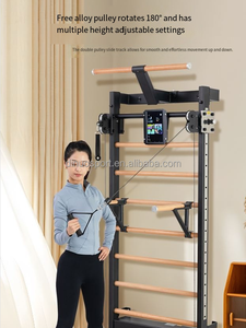 OEM Dinuo Machine <span class=keywords><strong>de</strong></span> <span class=keywords><strong>musculation</strong></span> motorisée à double bras <span class=keywords><strong>avec</strong></span> cadre en métal <span class=keywords><strong>de</strong></span> type échelle suédoise, barres parallèles, pour tractions, presse à jambes et étirements, usage intérieur - Product Image 3