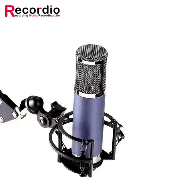 Hot Selling Professional Condenser Microphone With Low Price