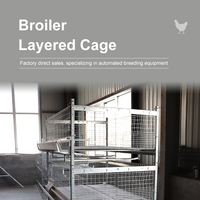 Nouvelle cage à poulets de chair LINCHUAN de type H en acier galvanisé à chaud, 128 poulets, 4 niveaux, 4 portes, haute résistance à la corrosion, longue durée de vie