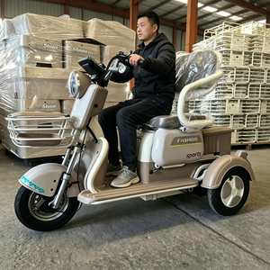 750W para Adultos, 48V 20Ah - Product Image 2