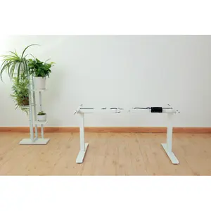 Direct Sales Height Adjustable Electric Desk 2 Motors Waterproof Heavy Duty Sit Stand Desk