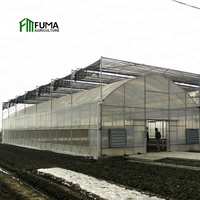 Jual FM Rumah Kaca Terraced Rumah Kaca Multi-span Menumbuhkan Herbal Medis