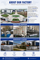 Poudre d'hydroxypropylméthylcellulose (HPMC) pour l'industrie des matériaux de construction, support OEM ODM