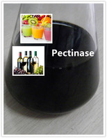 Additif alimentaire Pectinase, enzyme liquide