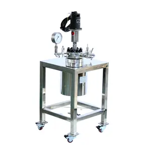 0.1L Explosion Proof stainless steel laboratory high pressure chemical reactor