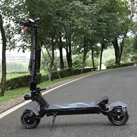 Trottinette Électrique Puissante YUME Hawk Pro 60V 250W à Double Moteur, Pneus Larges 10*4.5 Pouces, pour Adultes, Deux Roues, Origine Chine