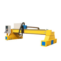 Machine de découpe plasma à portique CNC 2040, 2060, 120A, 160A, 200A, prix de coupe plasma