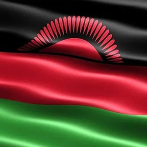 Promocional personalizado Malawi bandera 100% poliéster doble cara impresión decoración al aire libre Bandera Personalizada - Product Image 3