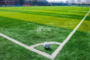 Terrain <span class=keywords><strong>de</strong></span> football <span class=keywords><strong>de</strong></span> <span class=keywords><strong>bonne</strong></span> qualité gazon artificiel écologique terrain <span class=keywords><strong>de</strong></span> football terrain <span class=keywords><strong>de</strong></span> football <span class=keywords><strong>pelouse</strong></span> synthétique - Product Image 4