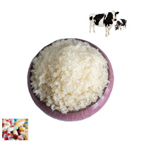 Gélatine sans saveur 220 Blom, poudre de gélatine osseuse, ligne de production, gélatine Al-amin Halal