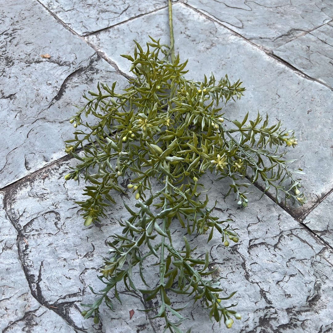 Muri gris vert