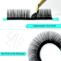 Extensions de cils en vison de qualité supérieure, marque privée, vente en gros, fournitures individuelles pour cils, commande en gros pour les fournisseurs de cils