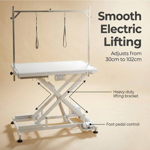 Table <span class=keywords><strong>de</strong></span> toilettage électrique pour chiens AP-809, table réglable en hauteur avec LED, table <span class=keywords><strong>de</strong></span> toilettage électrique pour chiens - Product Image 4