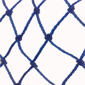 <span class=keywords><strong>Filet</strong></span> <span class=keywords><strong>de</strong></span> pêche <span class=keywords><strong>professionnel</strong></span> en <span class=keywords><strong>filet</strong></span> <span class=keywords><strong>de</strong></span> chalut, <span class=keywords><strong>prix</strong></span> d'usine pour l'aquaculture, <span class=keywords><strong>filet</strong></span> <span class=keywords><strong>de</strong></span> pêche <span class=keywords><strong>de</strong></span> haute qualité, maille large, RGSN 380D, épaisseur 0,32 mm-5 mm, polyester - Product Image 3