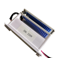 Générateur d'ozone en céramique, technologie de décharge Corona pour la purification de l'air, désodorisant pour voiture, concentration d'ozone de 20 g/h