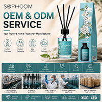 Lot de diffuseurs à bâtonnets de 100 ml avec bâtonnets en rotin, huile parfumée personnalisée pour la décoration intérieure et les programmes de vente au détail pour les acheteurs