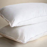 Oreiller Queen Size 20x30 pouces en duvet et plumes de canard de qualité supérieure, soutien doux, vente en gros OEM