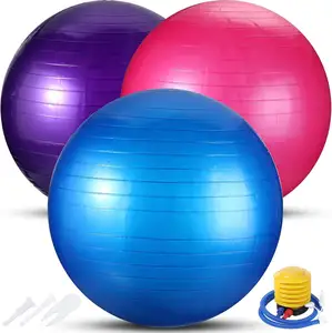 Amyup High Quality Thicken Pilates Yoga Ball Wholesale Yoga Exercise Ball