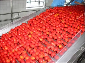 Nhà máy tiên tiến máy móc công suất cao nhỏ mứt dây chuyền sản xuất - Product Image 4