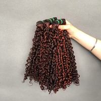 Bundles de cheveux vierges indiens de haute qualité Double Drawn Pixie Curly P4/350 Couleur