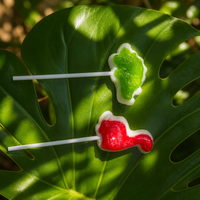 Sucettes dures sur le thème des dinosaures OEM ODM, modélisation réaliste de dinosaures, emballage personnalisé, vente en gros pour les distributeurs de bonbons