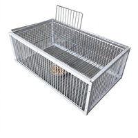 Piège à pigeons en fer pour extérieur, porte unidirectionnelle pour toit, portillon sensible, entrée automatique, récupération des pigeons voyageurs, volière écologique