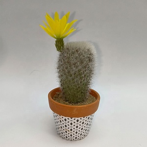 Cactus Cactus Cheapest Faux Succulents Plastic Potted Plants 18cm Artificial Cactus In Terracotta Pot
