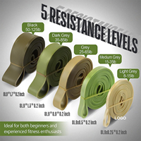Vente chaude 2023 Ensemble de bandes de résistance avec logo personnalisé Fitness Power Assist Pull up Exercise Bands Gym Latex Elastic Bands